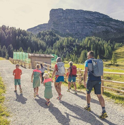 Eine Familie geht auf einem Wanderweg.