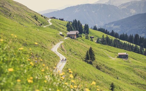 Panoramatour Blick Richtung Gerlos