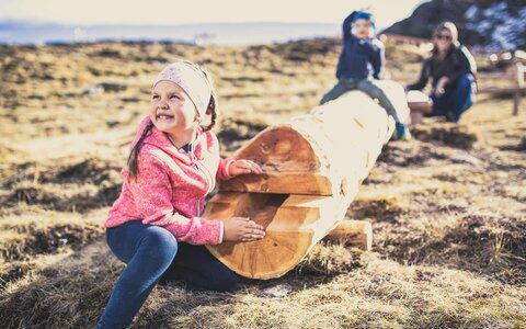 Kinder spielen auf einem Holzstamm