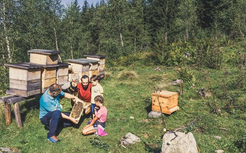 Zwei Männer und zwei Kinder schauen sich einen Bienenstock an