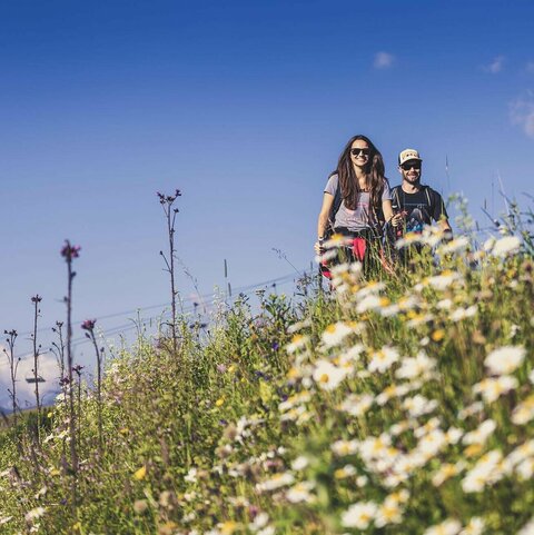 Ein Mann und eine Frau wandern in der Natur