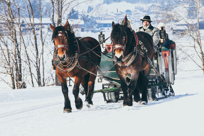 Eine Pferdekutsche fährt durch den Schnee