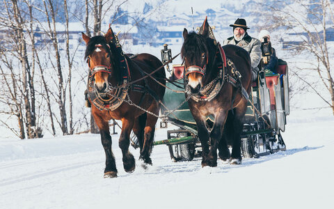 Kutschenfahrten