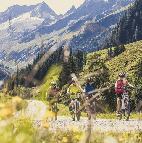 Vier Mountainbiker fahren durch eine grüne Landschaft.