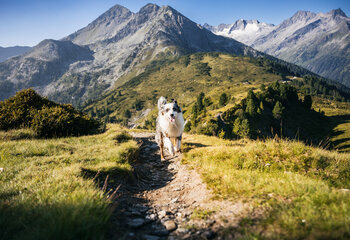 Wandern in Krimml