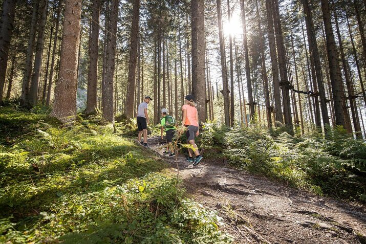 Eine Frau, ein Mann und ein Junge spazieren durch den Wald