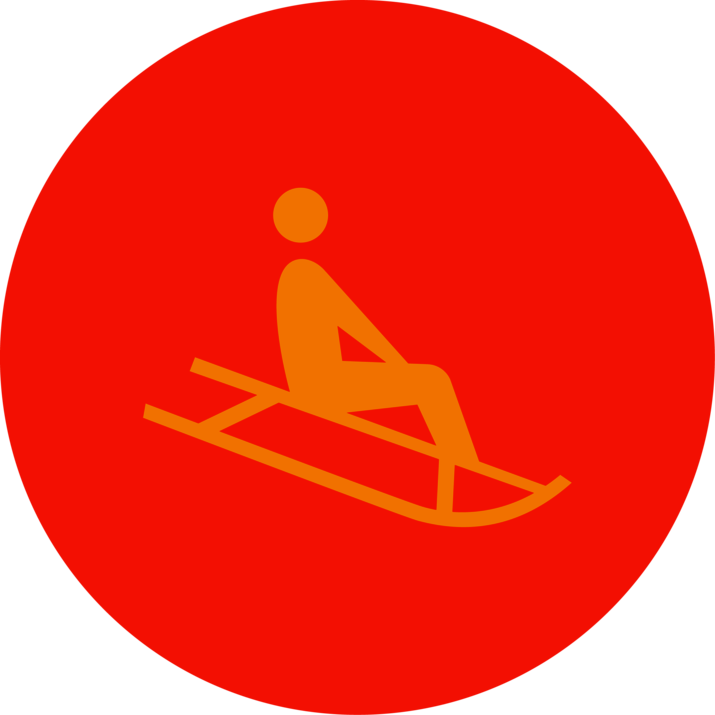 Rodeln Icon