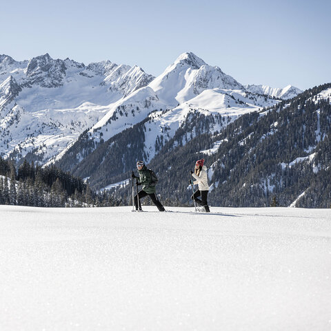 Zwei Langläufer gehen durch den Schnee