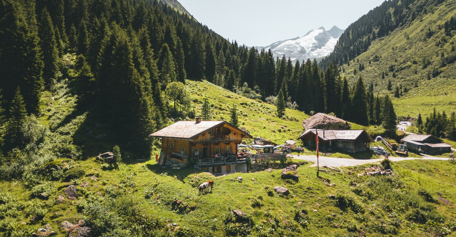 TrisslAlm-3.jpg