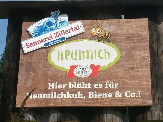 NEUStockach
