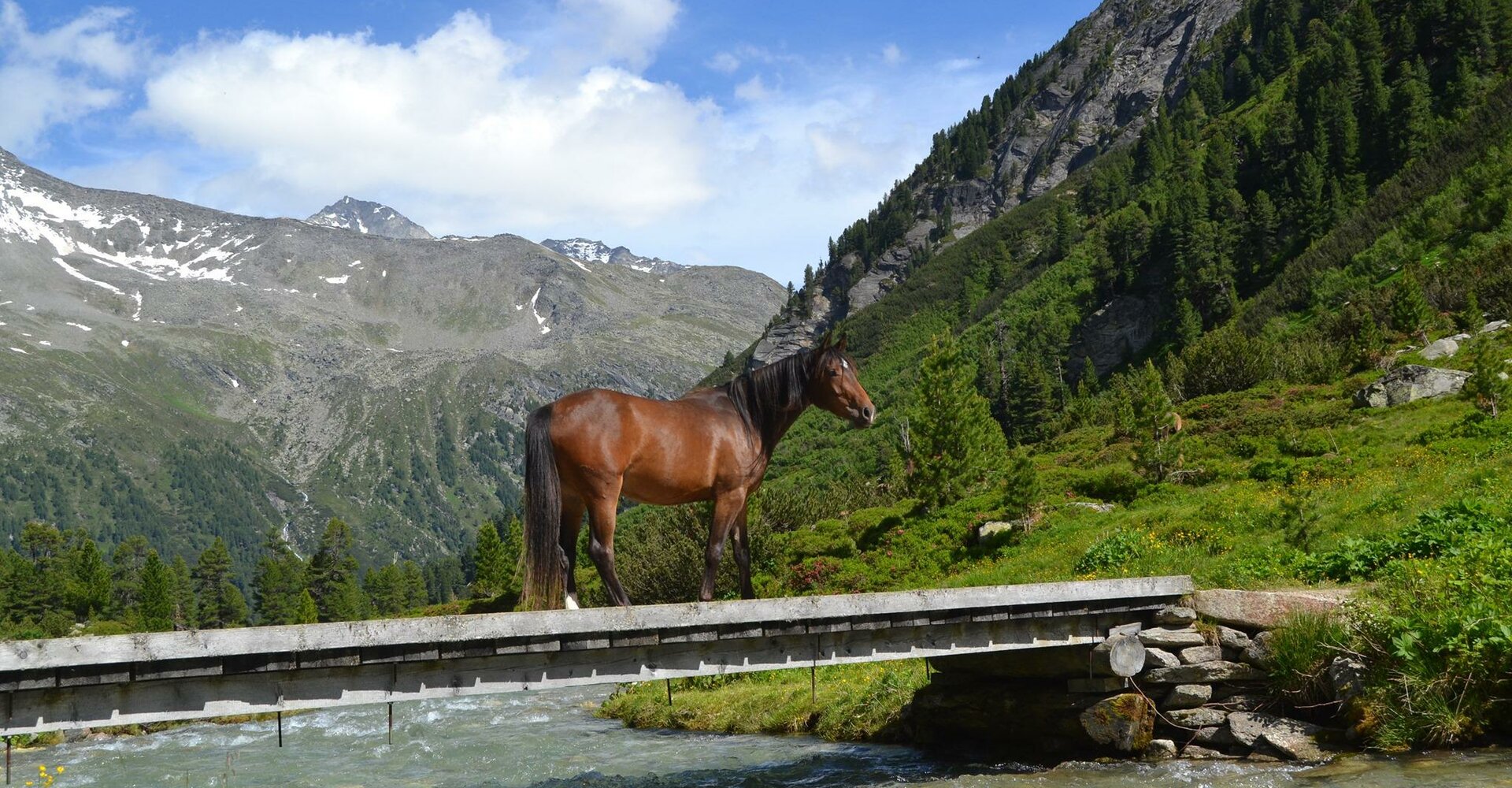 Reiten.jpg