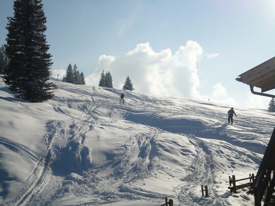 Skihütten Lang