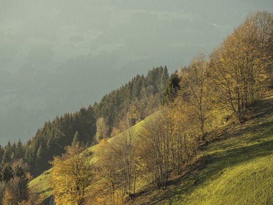Hanserhof