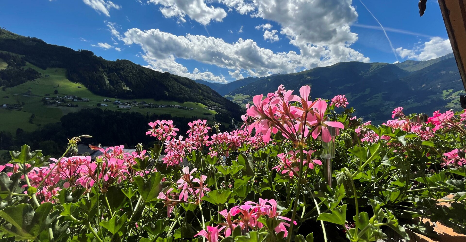 Ausblick-von-Landhaus-Hoellwarth.jpg