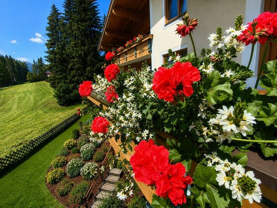 Zeitlos Apartments