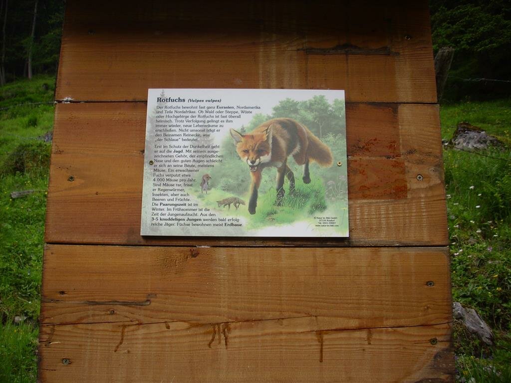 Tierlehrpfad-01.jpg