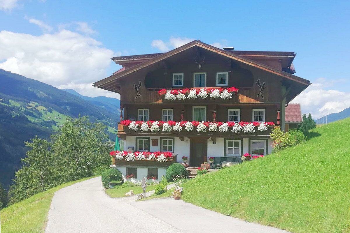 Unterlehenhof-im-Sommer.jpeg