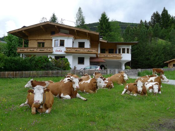 Ferienhaus Linda