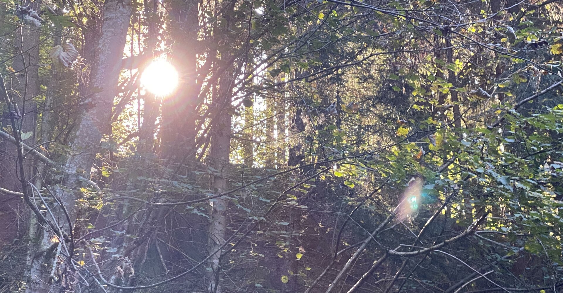 Spirituelle-Wanderung.jpeg