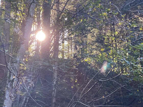 LAS(s)T LOS - Spirituelle Wanderung mit den Urlauberseelsorger
