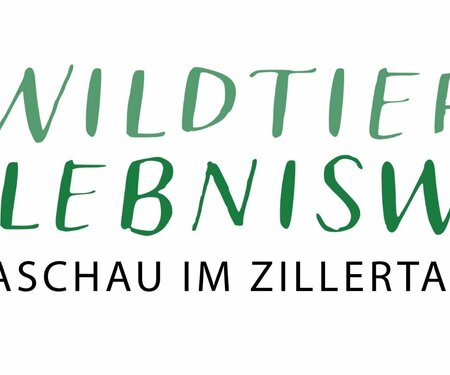 Kartenelement Titelbild