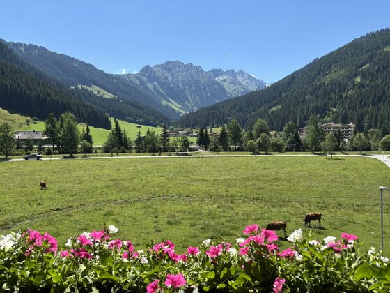 Lexnerhof