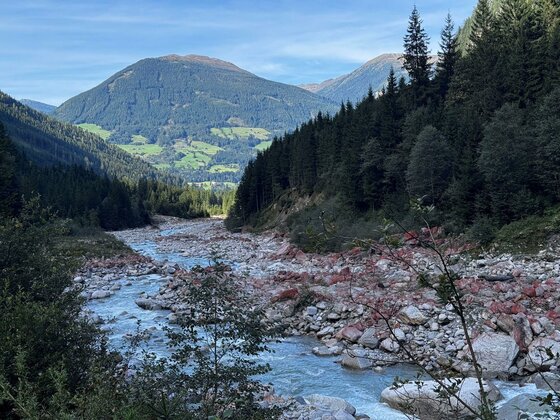 Kampriesenrunde im Obersulzbachtal