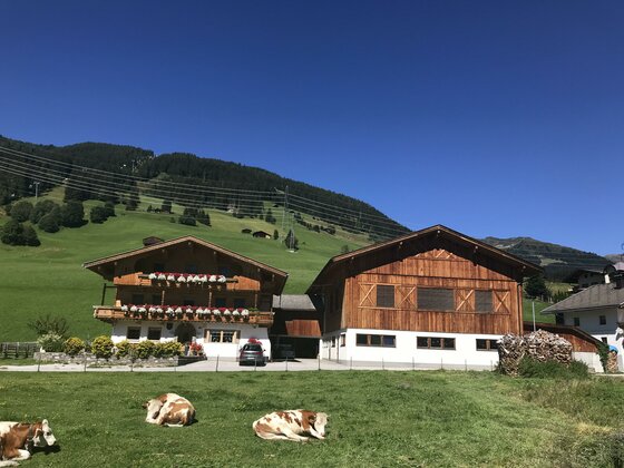 Lexnerhof
